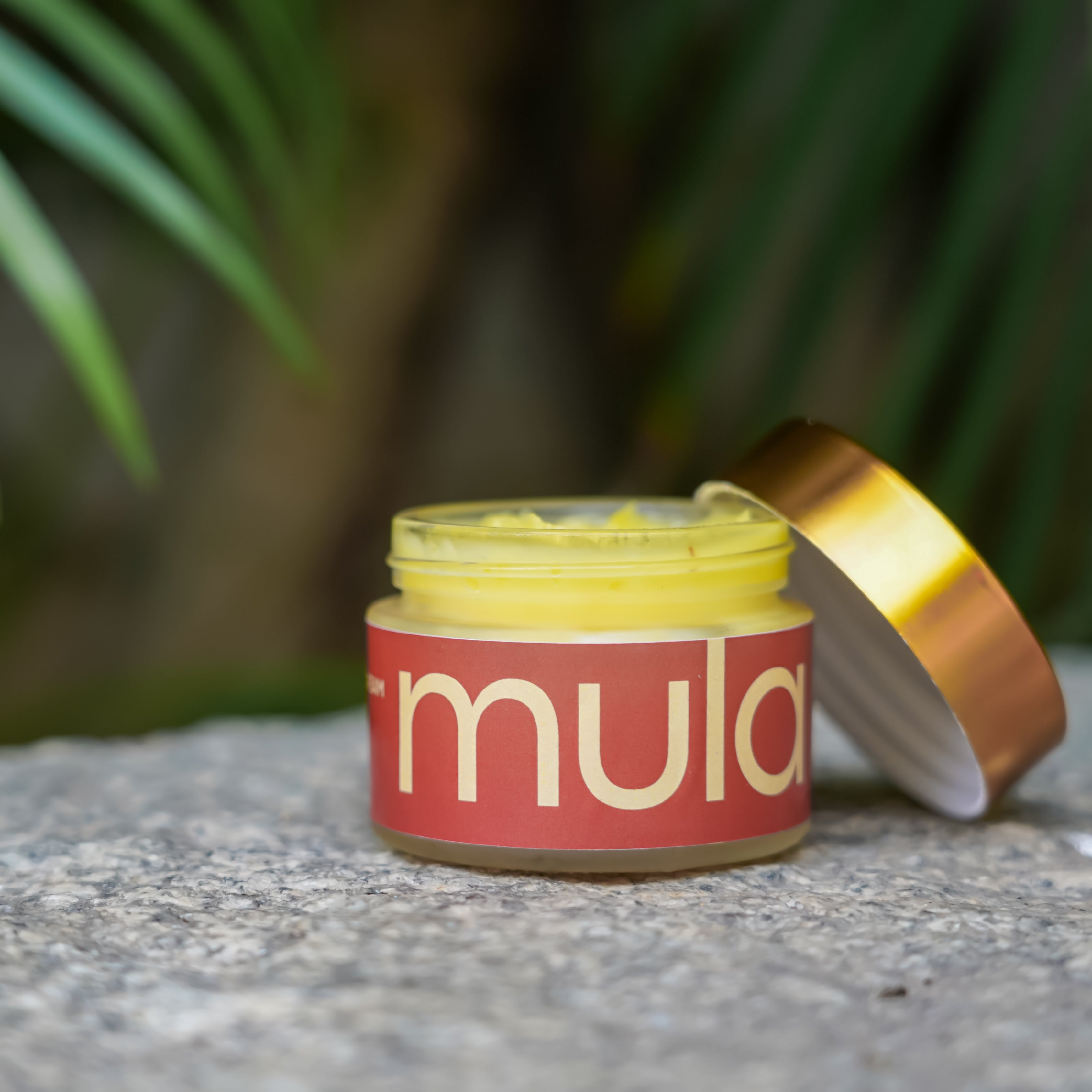 Saffron Night Cream - Skin Repair