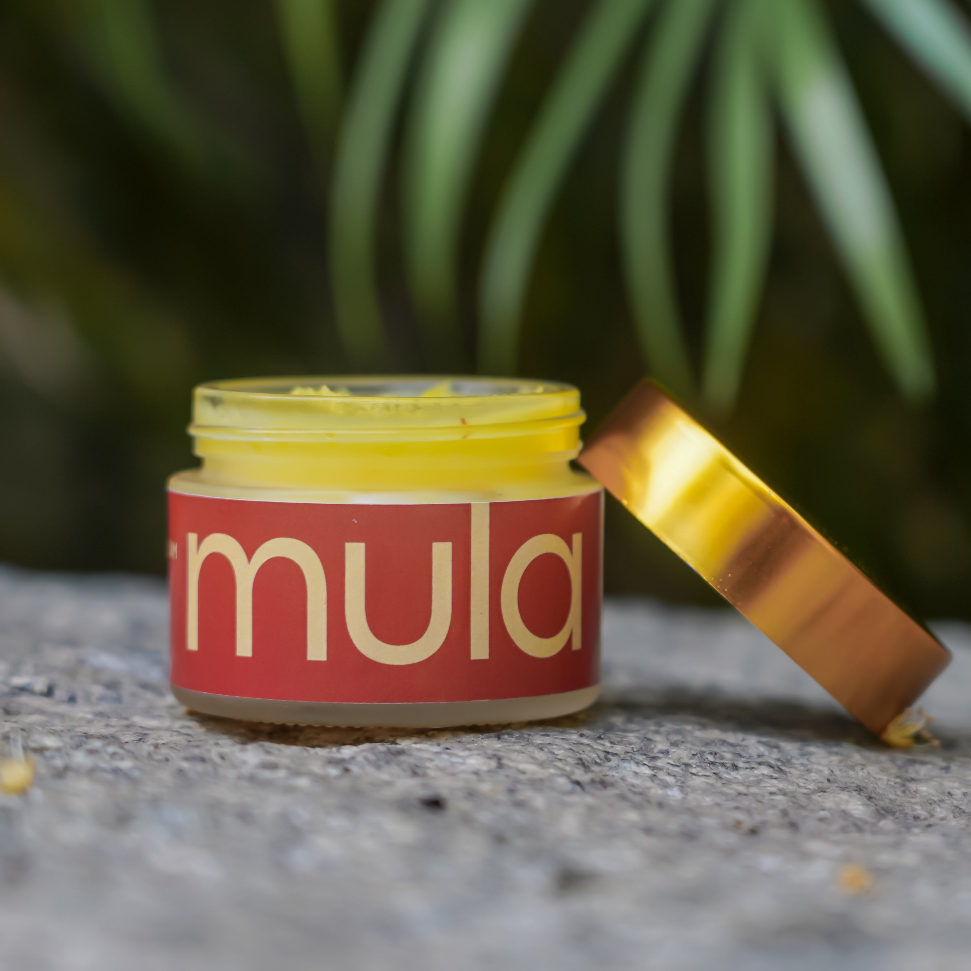 Saffron Night Cream - Skin Repair