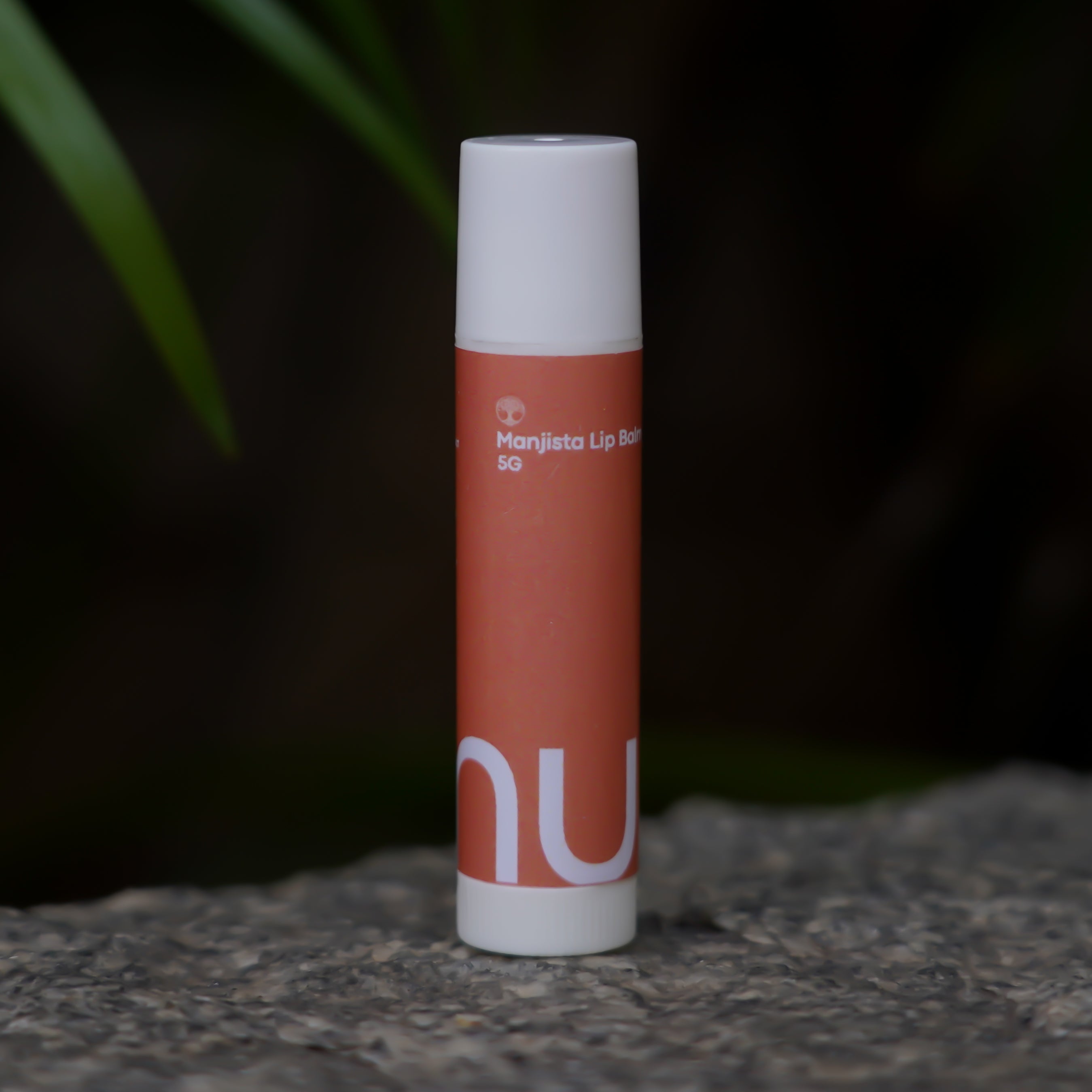 Manjistha lip balm
